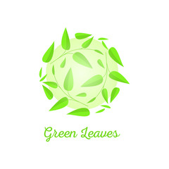 green tea concept