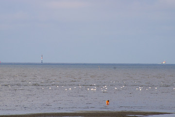 Strand bei Cuxhaven