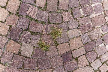 old granite paving stones