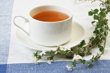 herbal tea