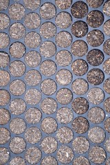 soil in seedling trays