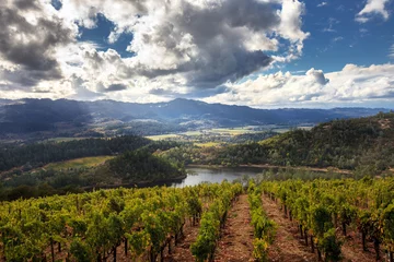 Fotobehang Panorama of Howell Mountain, Napa Valley wine country in autumn. Sun and clouds at a Napa, California vineyard with mountains, valleys and lake. © KarenWibbs