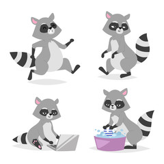 Cartoon raccoon vector illustration.