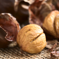 Freshly roasted or baked peeled chestnuts, photographed with natural light (Selective Focus, Focus on the front of the peeled chestnut)
