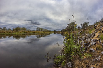 On the river Mologa.