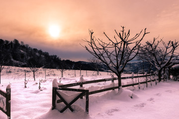 Sunrise and mountains covered with fresh snow.