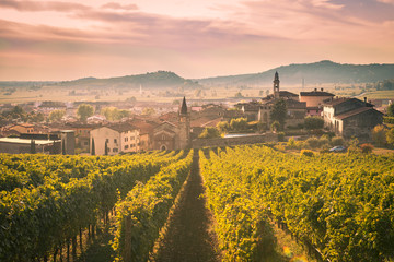 Widok Soave (Włochy) w otoczeniu winnic. - 123501520