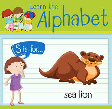 Flashcard letter S is for sea lion