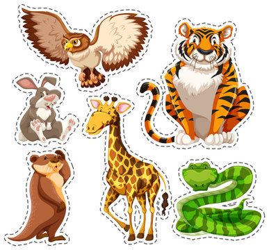 Sticker set of wild animals