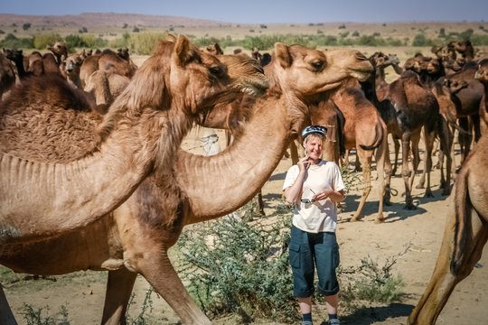 Surrounded by camels
