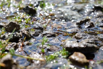 Water and wild stones