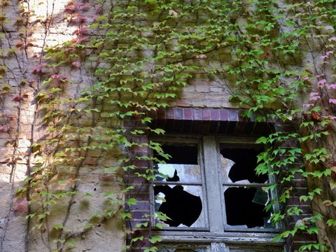 Zerborstene Fensterscheiben