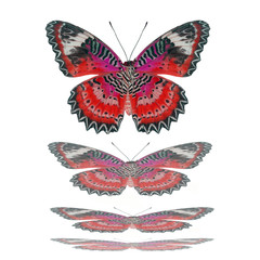 Obraz na płótnie Canvas Butterflies flying, isolated on white background