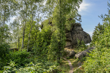 Fototapeta na wymiar Wanderpfad zum Treppenstein, Landschaft; Naturpark Harz, Sommer