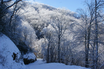 Winter snow in North Carolina Mountains