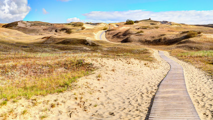 Wooden path into the Grey Dunes. Curonian Spit, Lithuania.