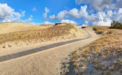 Fototapeta na wymiar Wooden path into the Grey Dunes. Curonian Spit, Lithuania.
