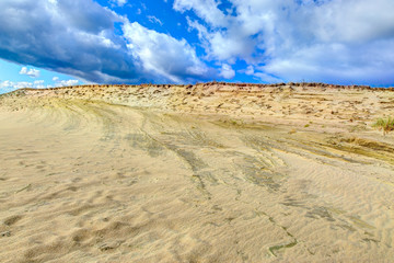 Grey dunes in the fall time. Curonian Spit, Lithuania.