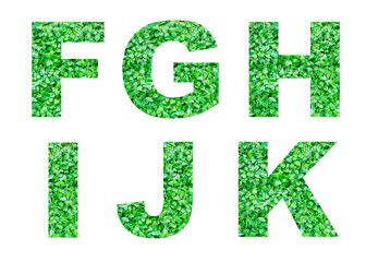Alphabet F,G,H,I,J,K of green grass isolated on white. Abstract alphabet.
