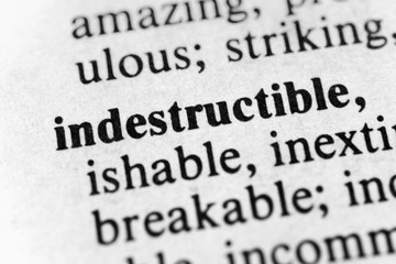 Obraz premium Indestructible