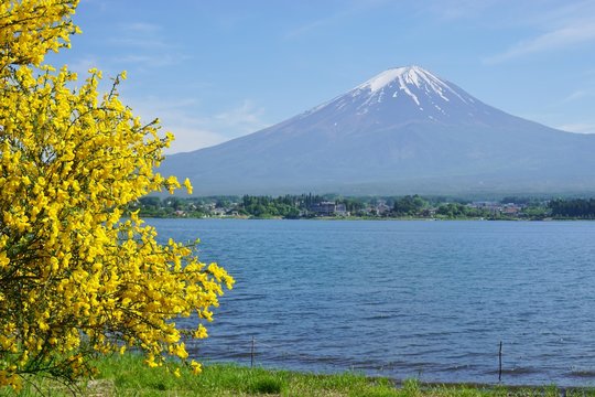 The Mount Fuji volcano in Japan