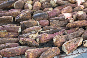 grill sweet potato, Ipomoea batatas