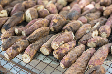grill sweet potato, Ipomoea batatas