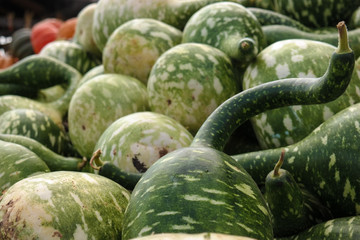 Fresh Halloween Jack-o-Lantern Pumpkins