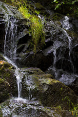Lacamas Lake Park Falls Three