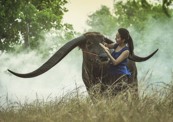 Obraz premium The girl with Buffalo in thailand.