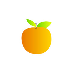 Orange Vector
