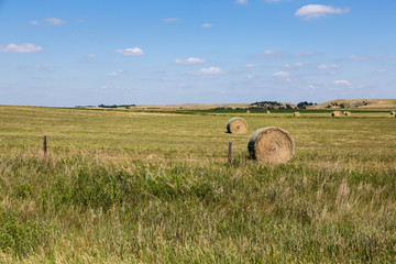 Bales of hay in a field Nebraska on a summer day. 