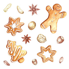 Fototapeta na wymiar Set of gingerbread and nuts.Christmas.Hand draw watercolor illustration.