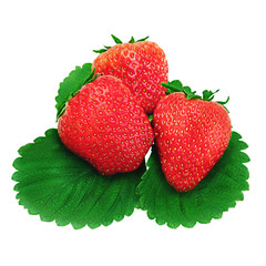 Red ripe strawberries isolated on white background.