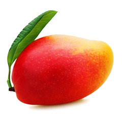 Fresh mango fruit isolated on white background. Closeup.