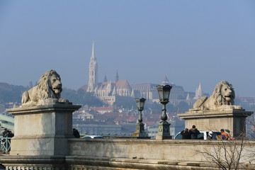 Lion Bridge Budapest