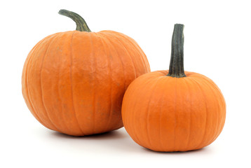 two pumpkins orange squash studio shot on white background for halloween or thanksgiving