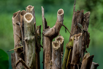 The Pipes are Calling