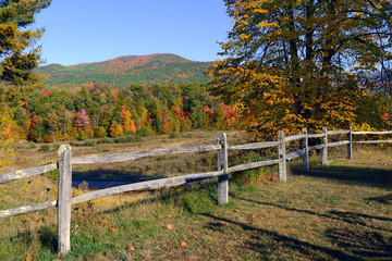Autumn foliage with red, orange and yellow fall colors in A Northeast forest with rural setting
