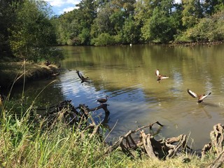 Popular Audubon Park in New Orleans, Louisiana.