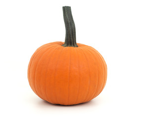 small pumpkin on white background for halloween or thanksgiving
