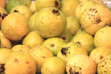 Guava tropical fruit