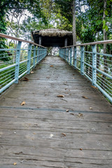 Footbridge in the park