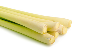 Lemon grass on white background