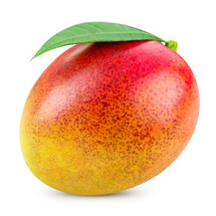 mango isolated on white