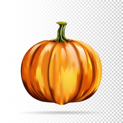 Halloween pumpkin on white background