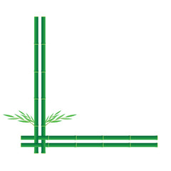 bamboo background vector design