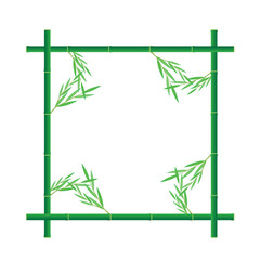 bamboo background vector design