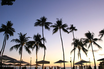 Hawaii resort sunset