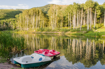 Paddle Boat On The Lake
